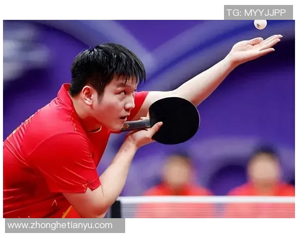 南京乒乓球队创历史新高速度排名再创新纪录引发关注